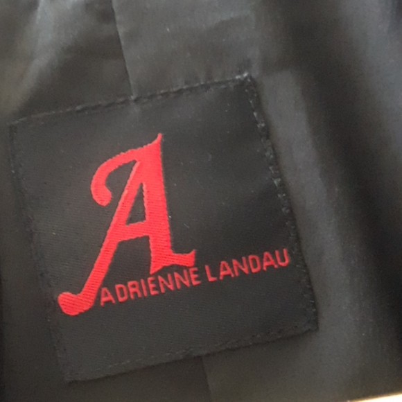 ADRIENNE LANDAU.. - Picture 6 of 9